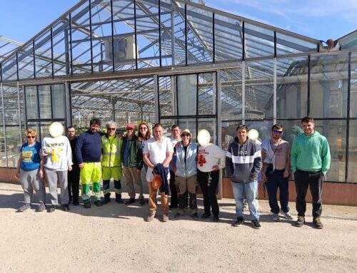 Activité de soutien horticulture, hortithérapie …