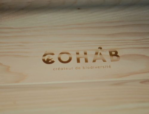 Une belle collaboration entre l’ESAT Thierry ALBOUY et Cohab !